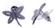 wholesale sterling silver dragonfly cz earrings